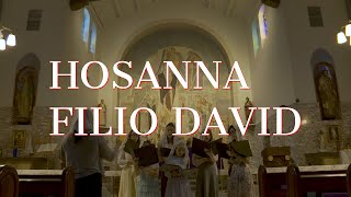 Hosanna Filio David | Traditional Palm Sunday Hymn | Schola Cantorum Gloriae Dei
