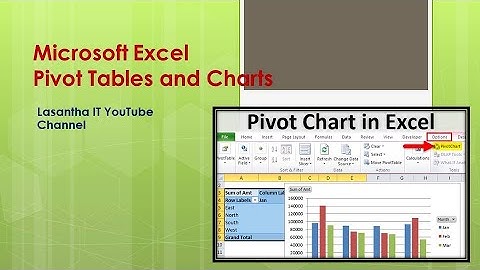Microsoft Excel Pivot Table and Chart Sinhala Lesson
