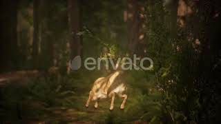 Extreme Slow Motion Deer Jump in Pine Forest | Motion Graphics - Envato elements