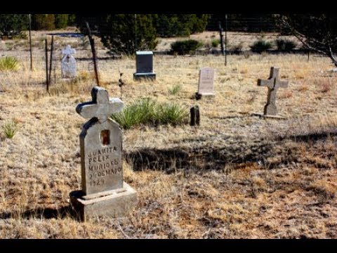 Video: 9 Plants That Really Belong In A Cemetery