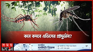 এবার ভারী বর্ষণে নাজেহাল এডিস | Aedes | Dengue Mosquito | Somoy TV