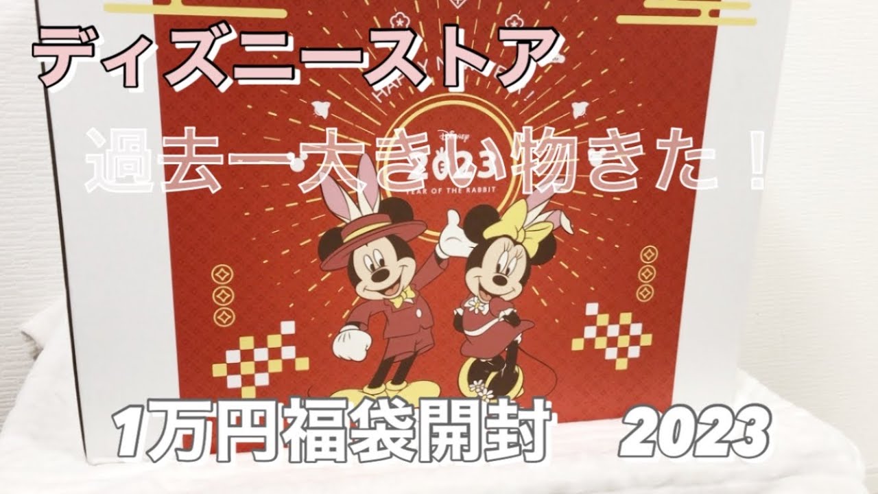 23 福袋開封 ディズニーストア 1万円 ラッキーバッグ開封 大当たり Youtube