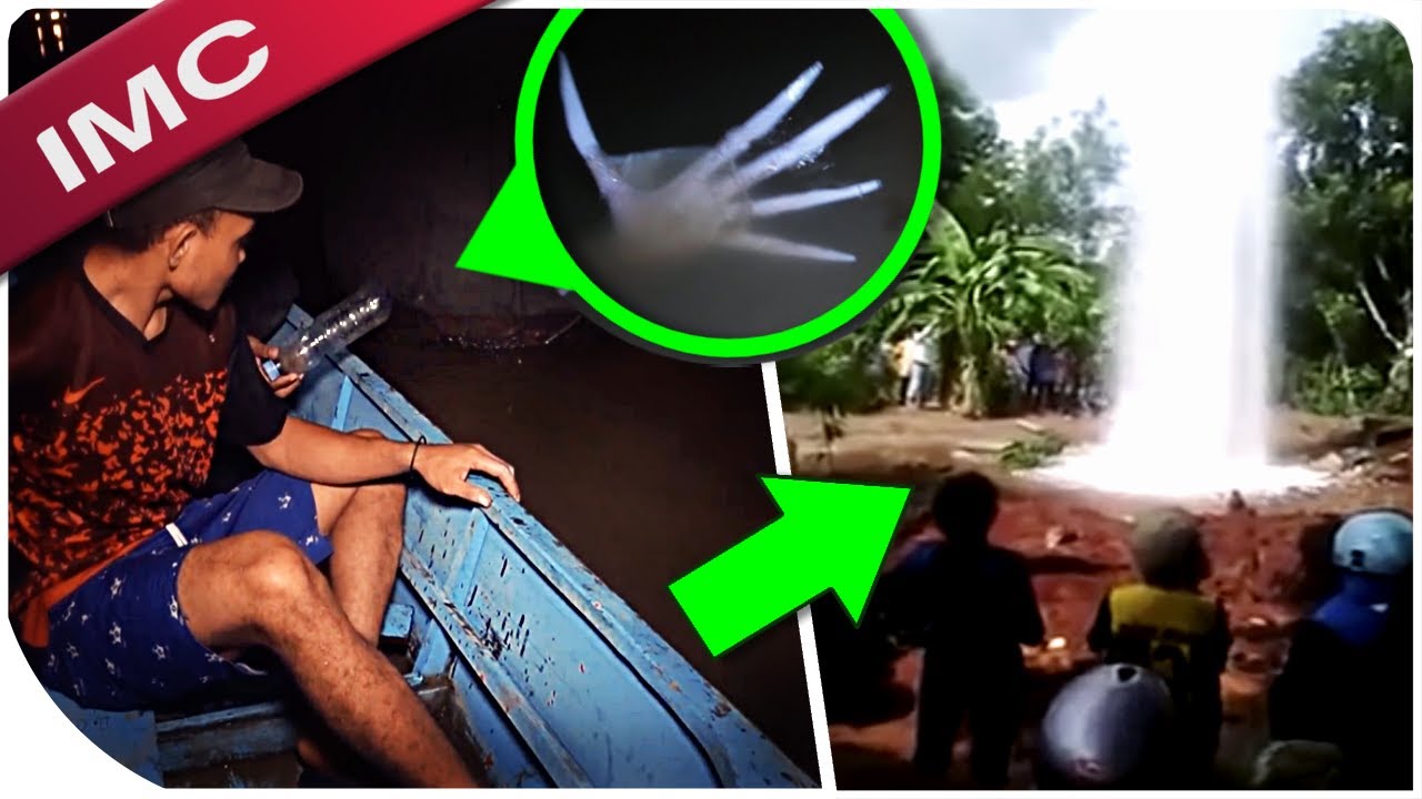 Самые невероятные встречи, которые вы когда-либо увидите...