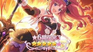 Akino 6* Quest - Priconne