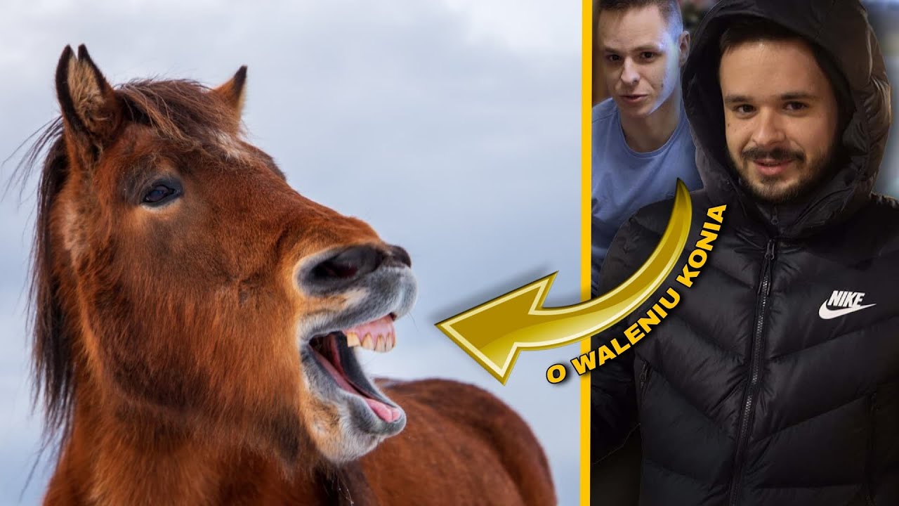 TAKEFUN I OG KUBA O WALENIU KONIA