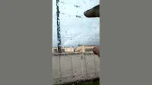 СO 28. Початок кращого