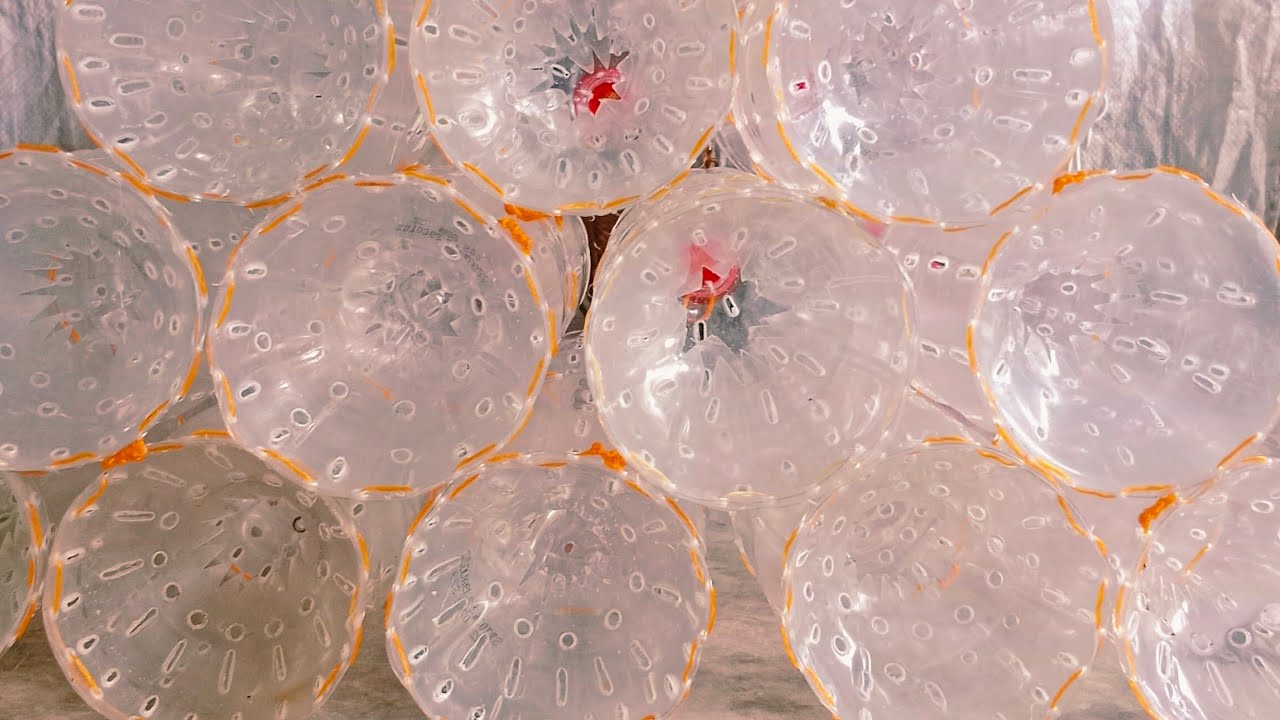 How to make Plastic Bottle Shrimp Trap