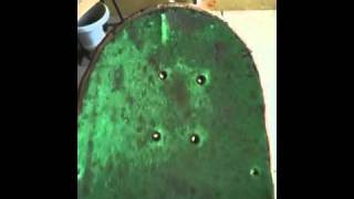 Alva Eddie Reategui Vintage Skateboard