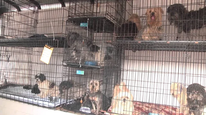 Horry County animals seized update
