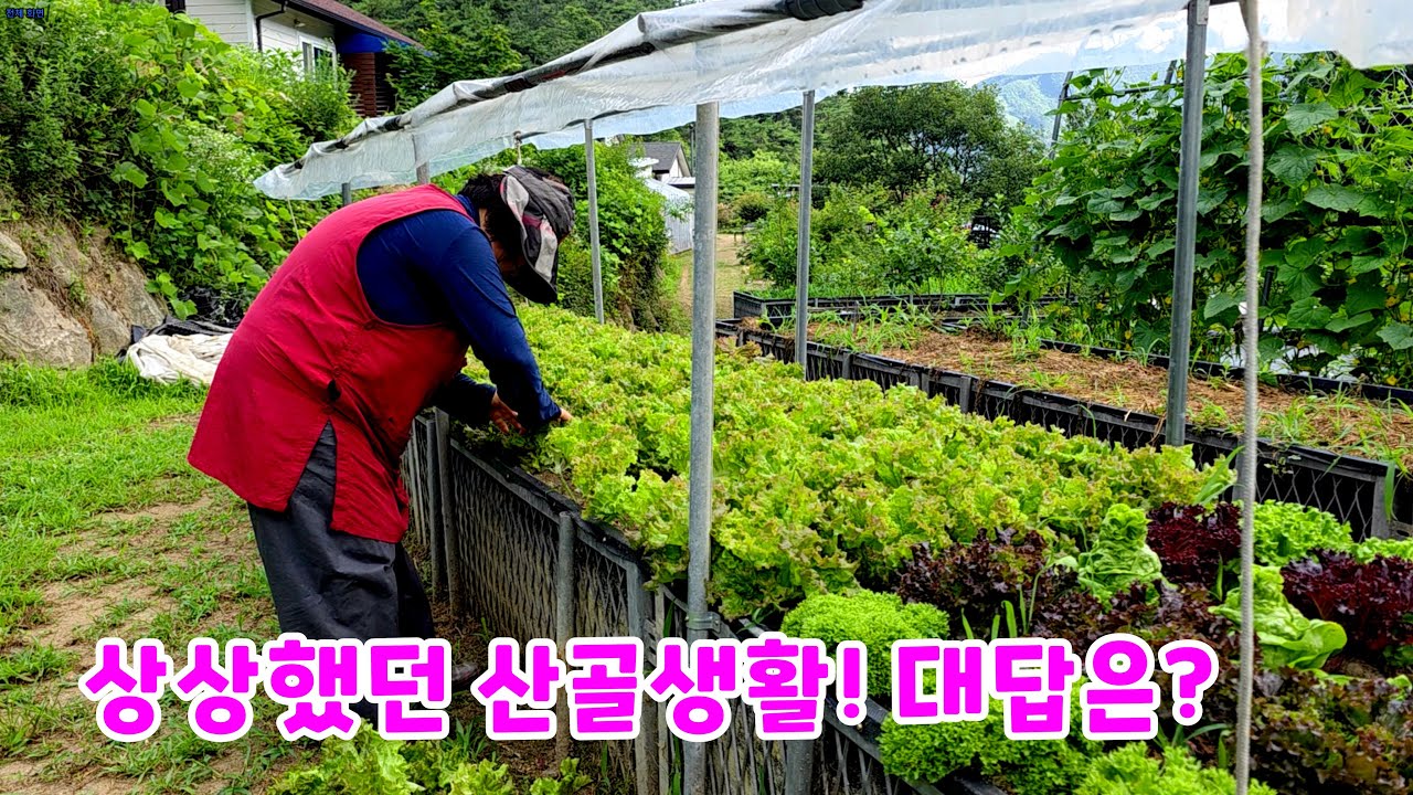 Прожив 10 лет в горах, мой муж стал разносторонним человеком.