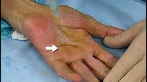 Digital Block (sample) - www.proceduresconsult.com