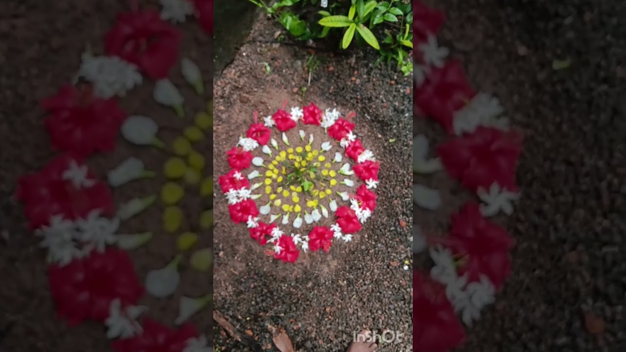 𝓒𝓱𝓸𝓽𝓱𝓲 𝓭𝓪𝔂 𝓹𝓸𝓸𝓴𝓴𝓪𝓵𝓪𝓶🏵️