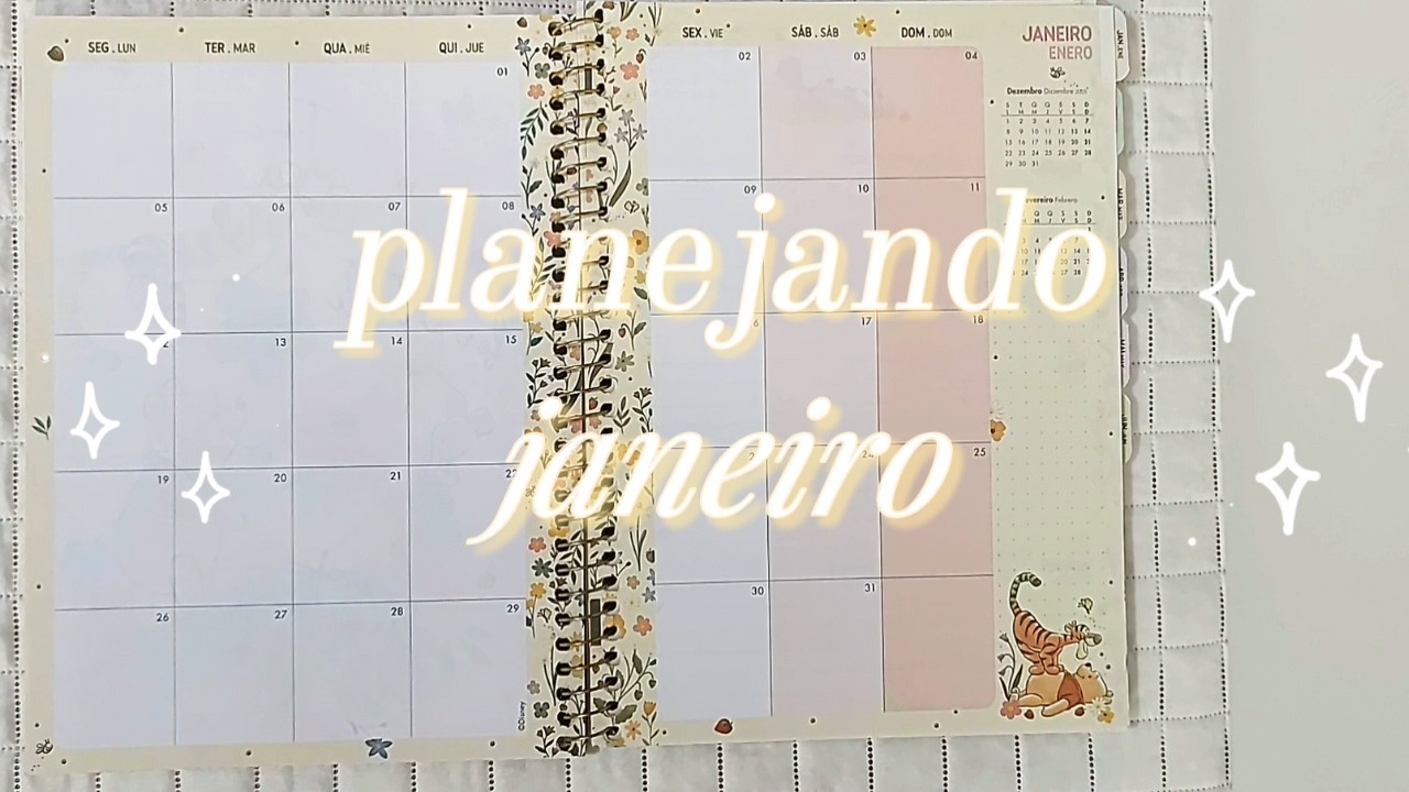 Planeje-se comigo para JANEIRO! Objetivos, mês e semana | Plan with me for January!