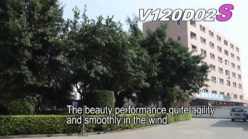 Walkera V120D02S Ultra Durable Professional micro 3D helicopter !