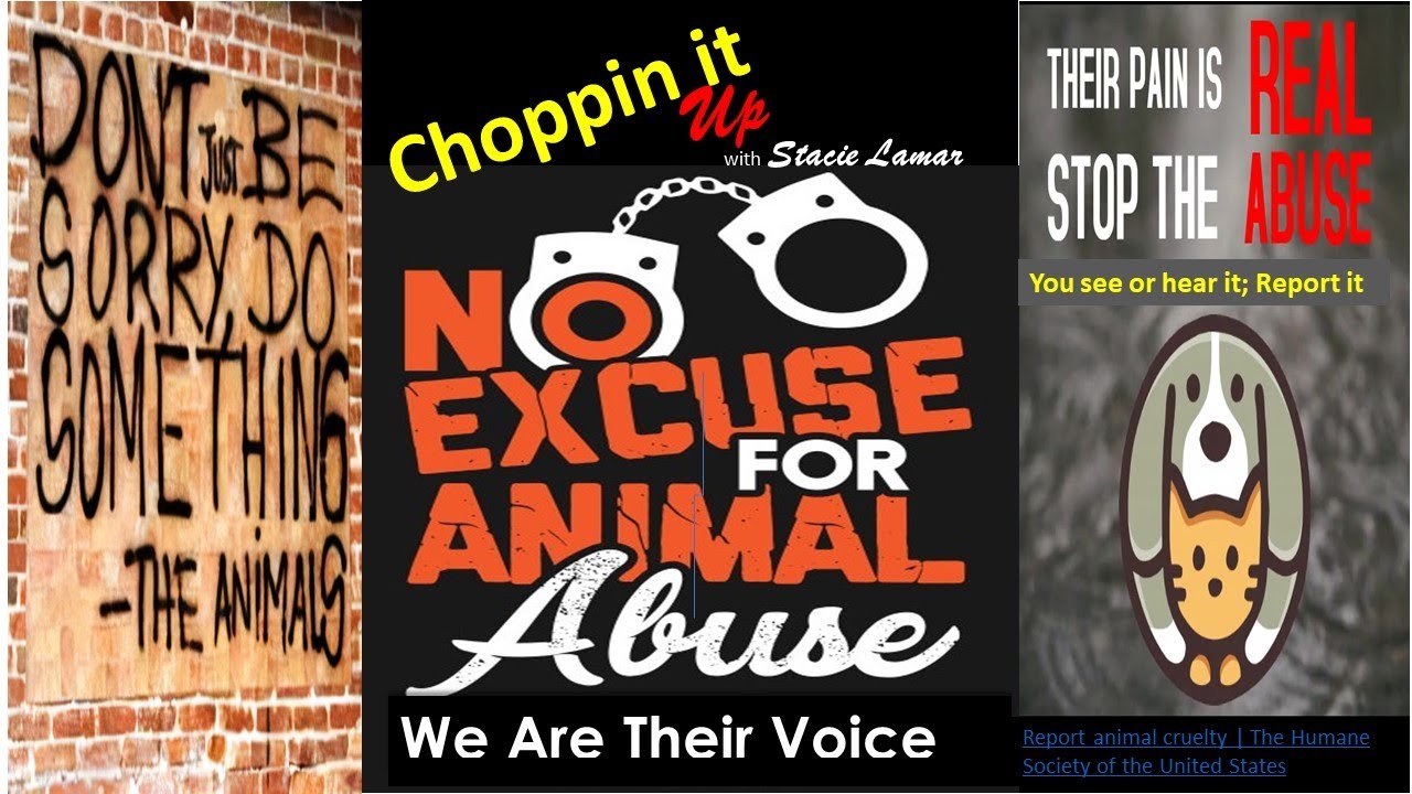 Animal Cruelty YouTube