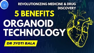 Organoid Technology: 5 Amazing Benefits for Biotech| Revolutionizing Medicine and Drug Discovery