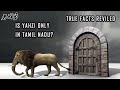 Yazhi mythical creature expl  positive door mythology  pride of india