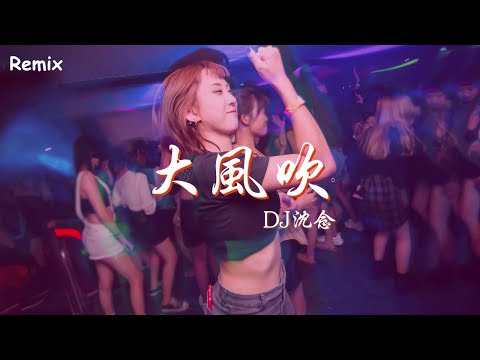 DJ沈念 - 大風吹 - [慢搖DJ舞曲] - 2023年最勁爆的DJ歌曲  - [Chinese Dj Remix 2023]