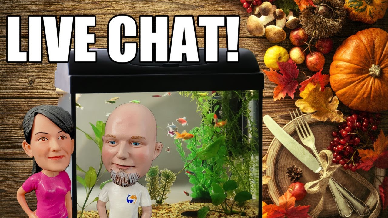 Thanksgiving Aquarium Stream! Talkin TANKS and Talkin FISH! Live Chat