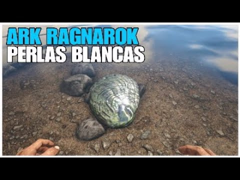 💍ark Ragnarok Perlas Blancas UbicaciÓn Como Conseguir Perlas Blancas 