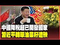 中國經濟與貿易動態