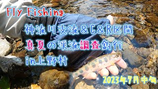 【フライフィッシング】真夏の渓流釣り調査！　in群馬県上野村
