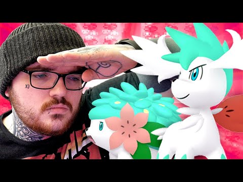 where is my shaymin | Shiny Shaymin Hunt! (+Pokemon SwSh Snom Hunt) - where is my shaymin | Shiny Shaymin Hunt! (+Pokemon SwSh Snom Hunt)