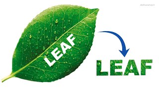 Fragment Text From Image In PowerPoint