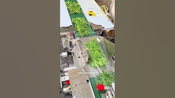 Flow Wrap Machine | Best Pouch Packaging Machine | #pouchpackagingmachine #packagingmachine