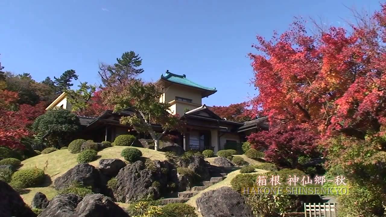 すべての動画