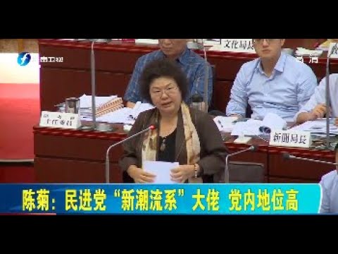 台湾新闻脸 陈菊 民进党新潮流系大佬 Youtube
