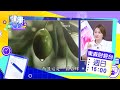 沒完沒了！再現「毒苦茶油」 還能安心吃？追蓋牌真相！《57健康同學會》週日15:00東森財經57台播出