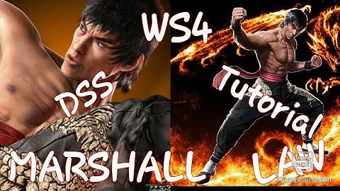 {LAW WS4 DSS TUTORIAL}