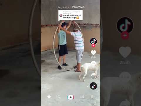 BR_1233_52f684d85e0aee8ca24df1eda18ea799 - BR_1233_52f684d85e0aee8ca24df1eda18ea799