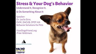 Stress & Your Dog’s Behavior: Understand It, Recognize It, & Do Something About It