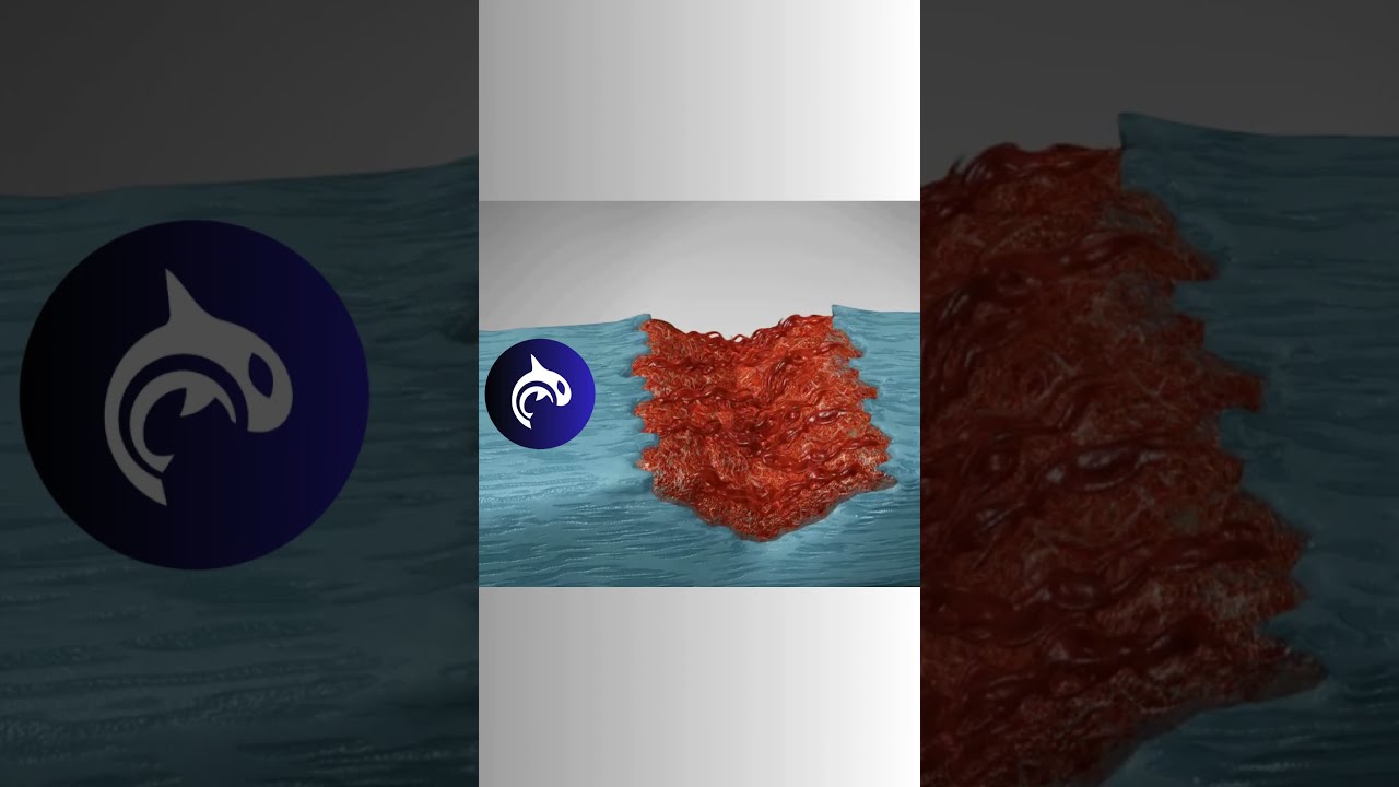 Soft Tissue Healing Process 3D Animation Anatomy Muscle