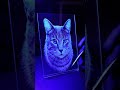 I Etched a Tabby Cat into a Glowing Light! 🤯 Custom Pet Portrait ASMR