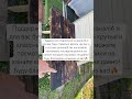 #shortvideo #reels #дача #shots #short #reelsvideo #reel