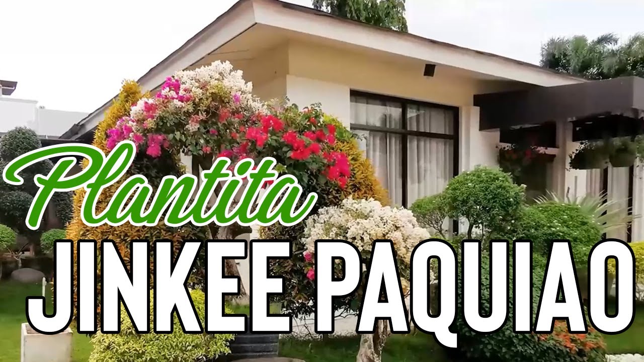 Plantita Jinkee Pacquiao