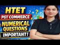 HTET PGT Commerce 🔥 Numerical questions in One shot!