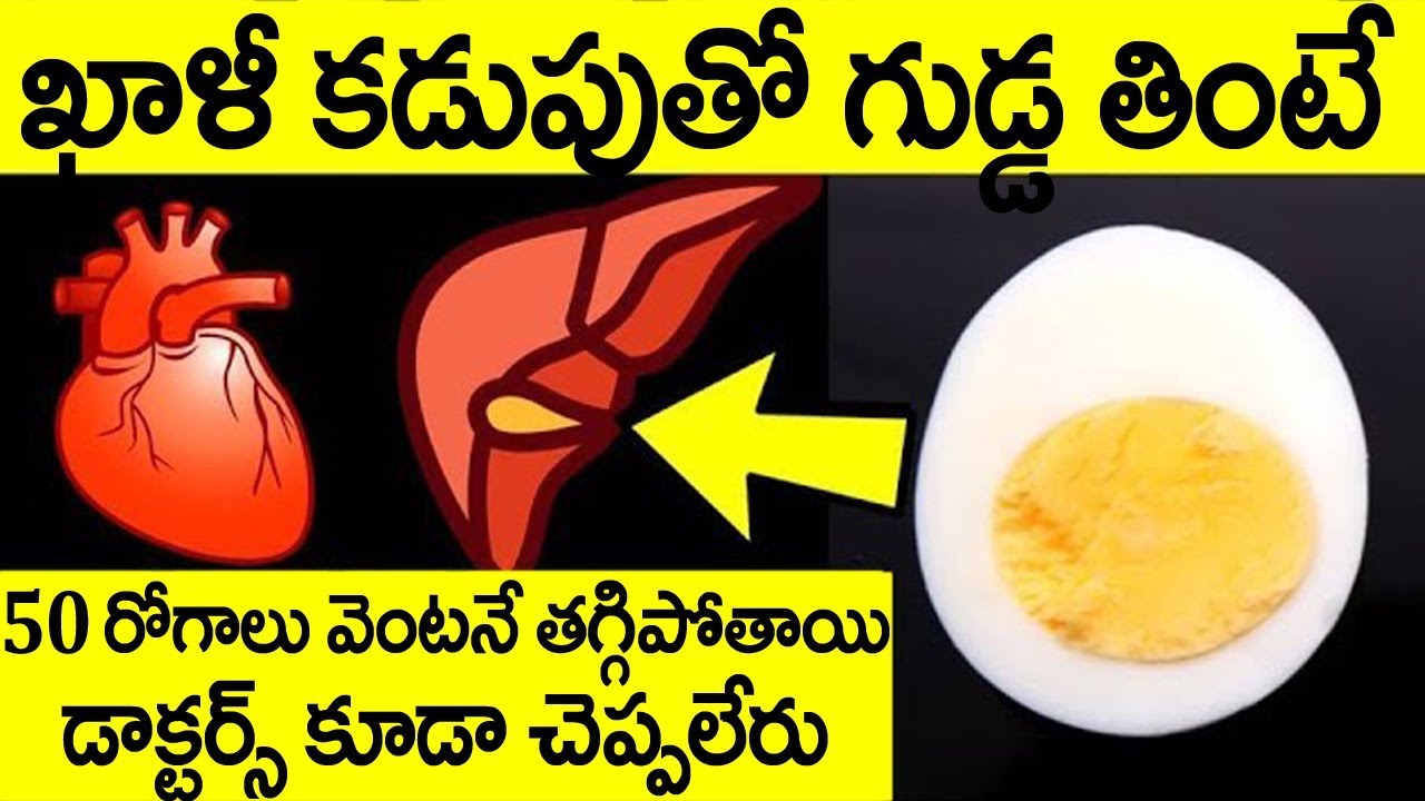 గుడ్డు గురించి మీకు ఈ నిజం తెలిస్తే తినకుండా అస్సలు ఉండలేరుBENEFITS
