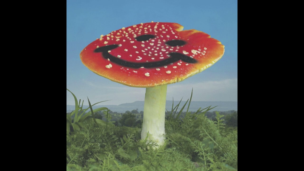 Nathan Melja, Flørist - Wonderland (Nathan Melja Version)