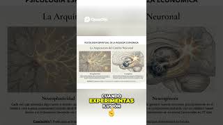 Neurogénesis: Células madre crean neuronas nuevas en 21 días #menteabundante #espiritualidad