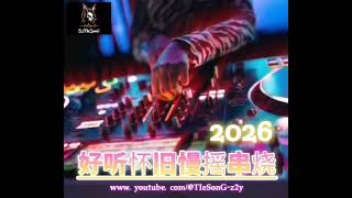 VVIP-8565《好听怀旧慢摇串烧》 DJTIeSonG ElectroMix 2026
