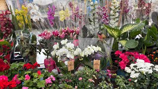 10 Şubat 2026Aydın Nazilli Şfet I