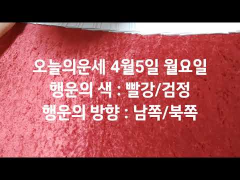 오늘의운세 <strong>4월5일</strong> 월요일 타로운세 / 부부 화합 부적 제작 문의 및 상담 010-9928-9191 마스터