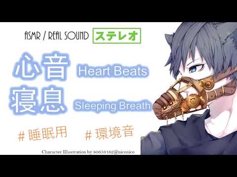 【ASMR・女性向け】睡眠導入・寝息・心音・30分 - heart beats sound & sleeping breath sound 30min.