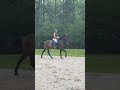 Theo Schooling 5/5/26
