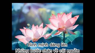 RỪNG SALA THU   Tĩnh tâm   bình an