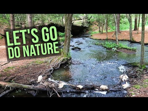 Let's Go Do Nature | Vlog 1468